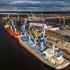 Морской порт Санкт-Петербург увеличил грузооборот на 17%